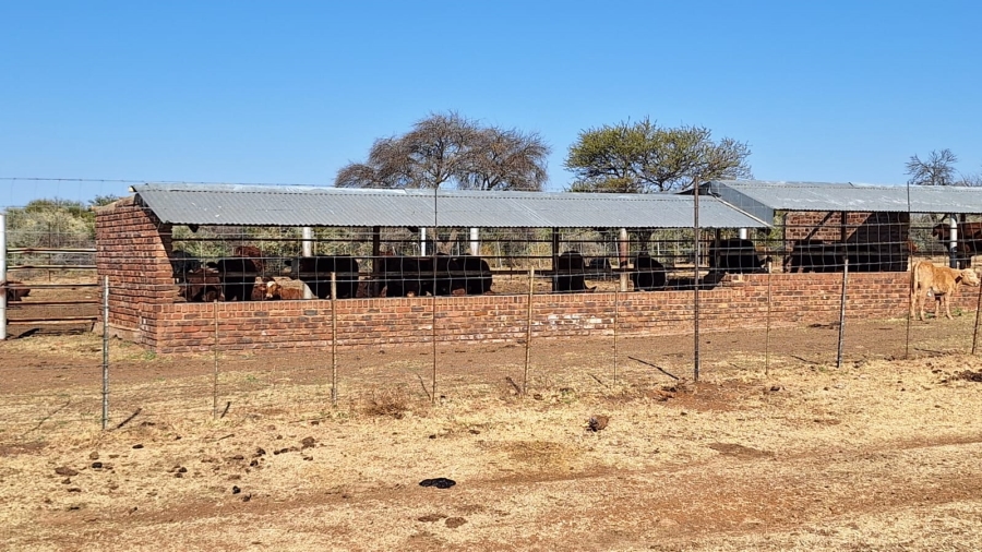 Commercial Property for Sale in Amalia North West